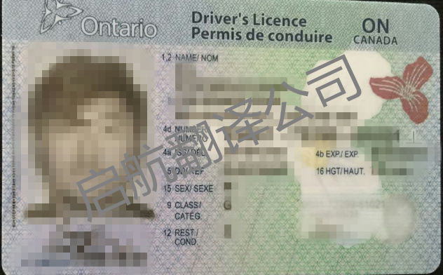 加拿大各省驾照专业翻译权威盖章认证车管所认可