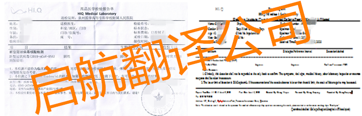 新冠病毒核酸检测报告翻译盖章-福州厦门泉州晋江安溪南安启航翻译-专业医学报告翻译公司 